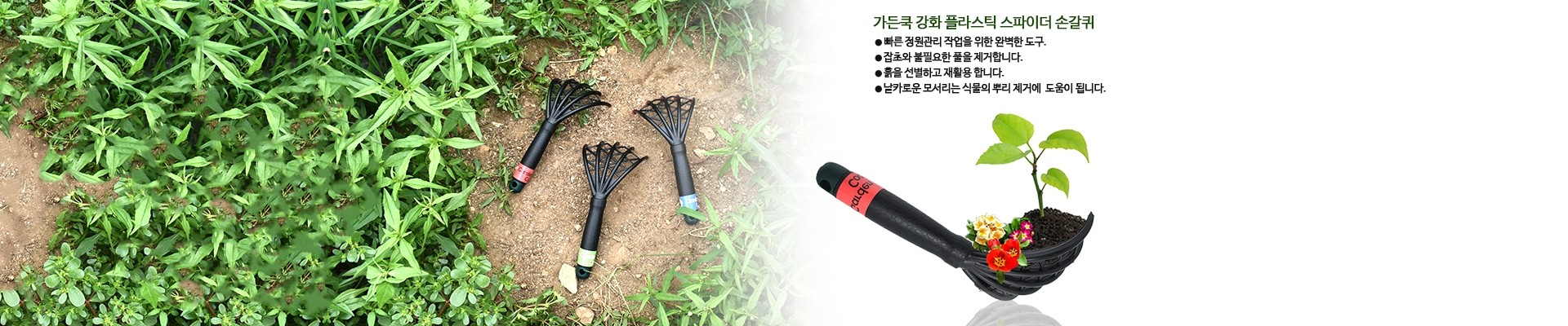 스파이더