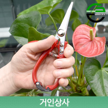 가든쿡 주먹가위 165H /적과가위 채과 가위 열매 포도 과일 꼭지 따기 전정 전지 따개