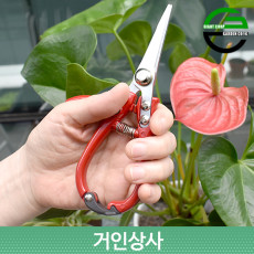 가든쿡 주먹가위 165H /적과가위 채과 가위 열매 포도 과일 꼭지 따기 전정 전지 따개