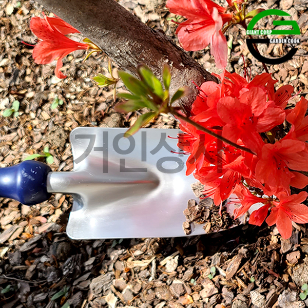 가든쿡 국산 스텐 모종삽 / 꽃삽 원예삽 미니삽 휘어지지않는 삽 저가형과 품질 비교불가