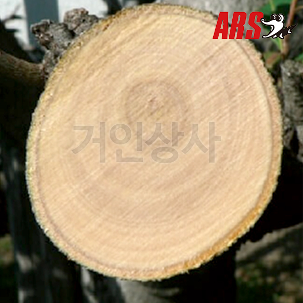 아루스 공작 원예 접톱 P-18 /목공톱 목수톱 휴대용 과수 나무 일제 접이식 톱 아로스