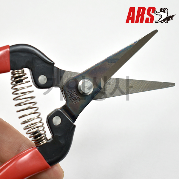아루스 채과가위 300L-BP/적과가위 포도가위 과일 열매 따기 과수 수확 ARS 아로스