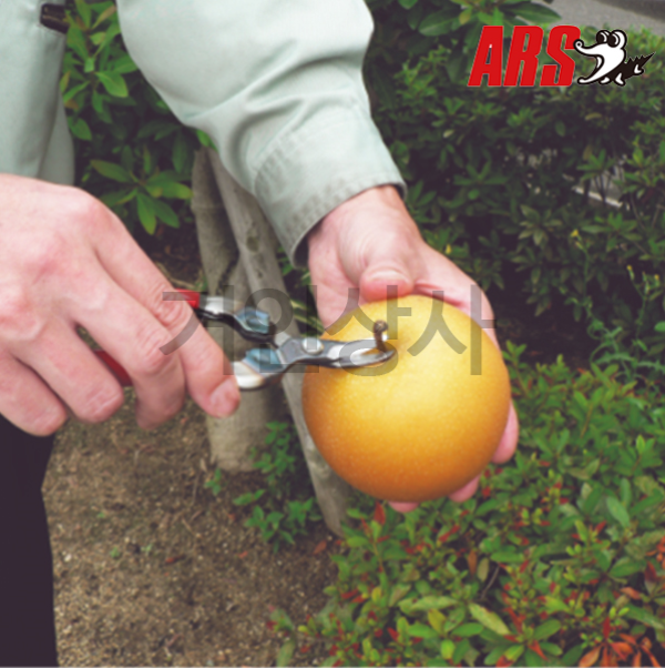 아루스 꼭지가위 310DK-BP/곡가위 적과가위 채과 가위 배 감 과일따기 아로스 ARS