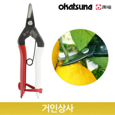일제 강항 곡가위 No 301 / 곡날 채과가위 적과가위 열매가위 채수 꼭지따기 사과 배 포도