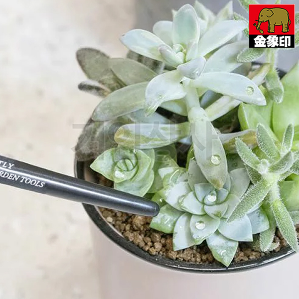 금상인 다육이 관리세트 / 선물하기 원예삽 미니삽 분갈이삽 화분갈이 홈가드닝 원예도구