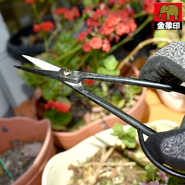 아사카 분재가위 180mm 일제 통쇠 꽃가위 전정 수확 원예 정원 과수 화훼 가드닝 가위