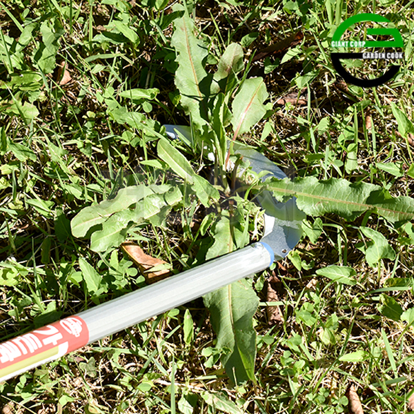 가든쿡 초경량 스텐 장대낫 GS-2100(조선낫형) 정원 텃밭 벌초 잔디 뿌리 풀베기 낫