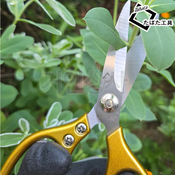 일제 타바타 다목적 원예가위 TY-165 전정가위 수확 원예 정원 과수 화훼 가드닝 가위