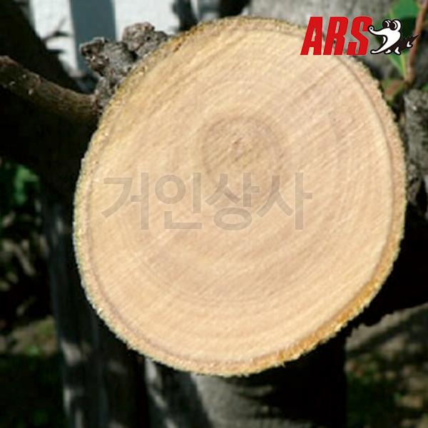 일제 아루스 톱날 PS-18L-1 (PS-18L용) 톱 교체날 전지 전정 나무 원예 ARS